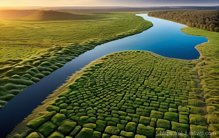 생태계 복원 기술과 생물 다양성 - **"Aerial Restoration: A Fleet of Eco-Drones"**
A breathtaking, panoramic view of a vast, previo...