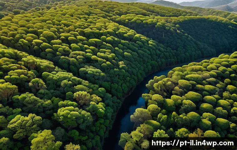 효과적인 생태계 복원 기술 선택 가이드 - **Prompt:** "A breathtaking wide-angle view of a large-scale ecological restoration project in the S...