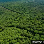 Home 22 생태계 복원 기술의 혁신적 접근 - A high-resolution aerial view of a vast degraded tropical forest area in Brazil being monitored by m...