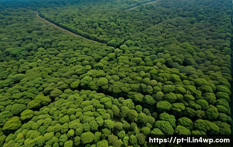 생태계 복원 기술의 혁신적 접근 - A high-resolution aerial view of a vast degraded tropical forest area in Brazil being monitored by m...