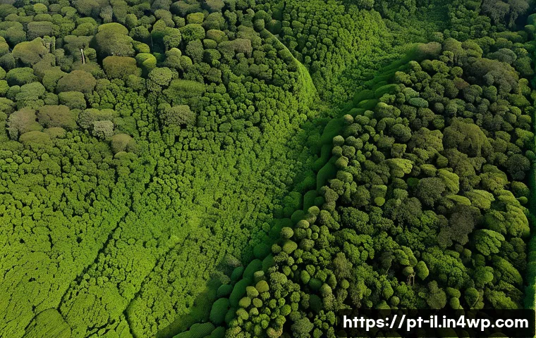 생태계 복원 기술의 데이터 기반 분석 - A detailed aerial view of a lush Brazilian rainforest restoration site captured by a drone equipped ...