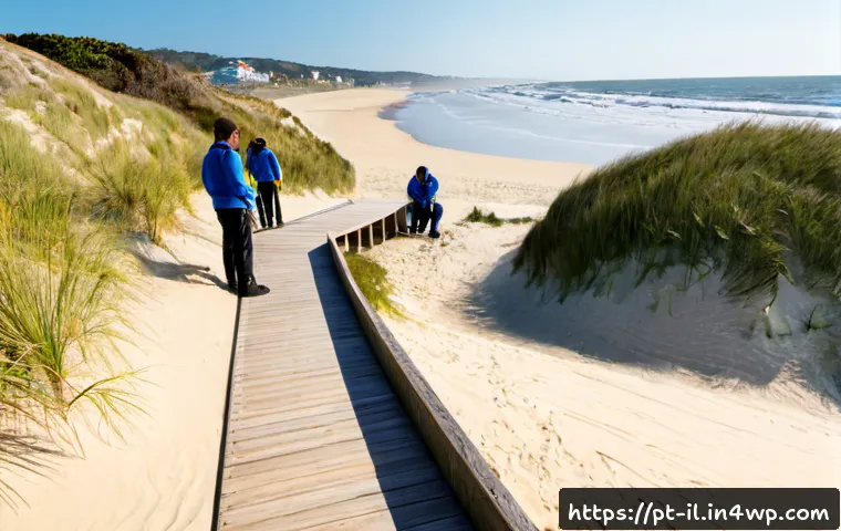 Home 17 생태계 복원 기술의 실천 사례 - Photorealistic coastal ecosystem restoration in Portugal, local volunteers planting native dune gras...