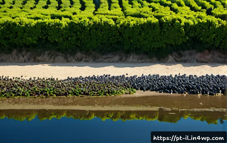 Tecnologias de restauro ecológico: casos práticos, critérios de escolha e avaliação de custos 4 생태계 복원 기술의 실천 사례 관련 이미지 2