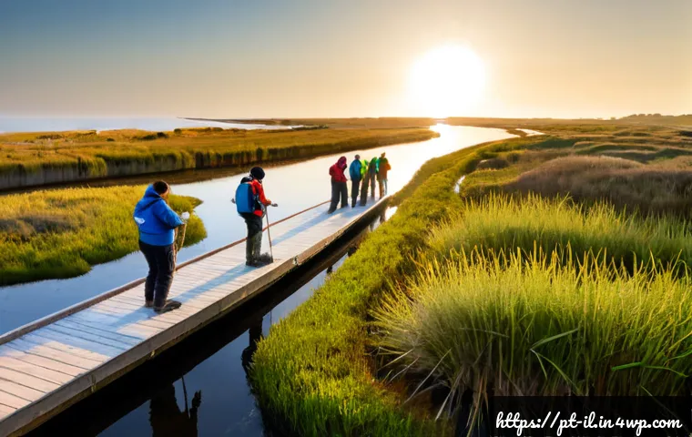 Home 17 생태계 복원 기술의 지속 가능한 발전 방안 - Photorealistic coastal wetland restoration in Portugal, a diverse team of ecologists and local volun...